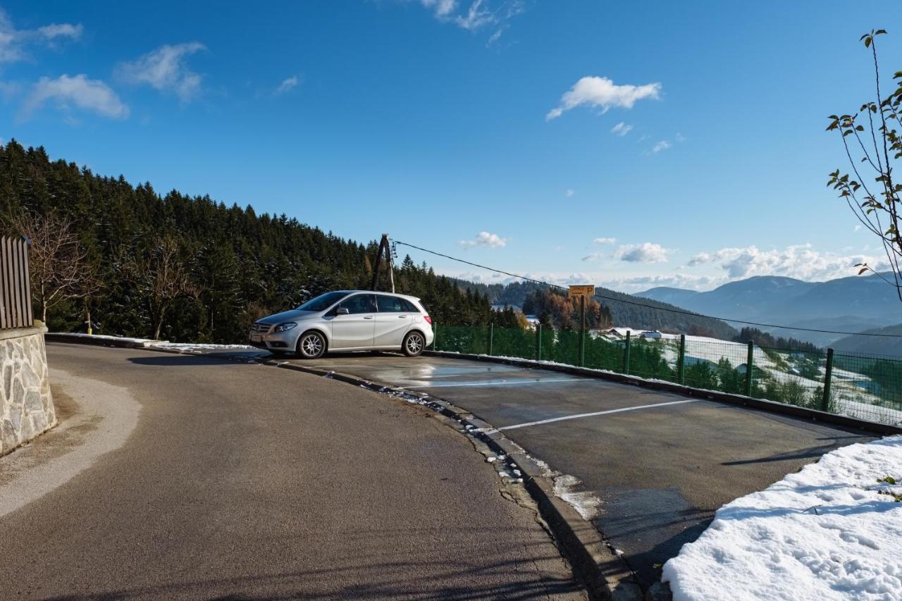 Apartment Jorsi With Mountain View Zrece Luaran gambar