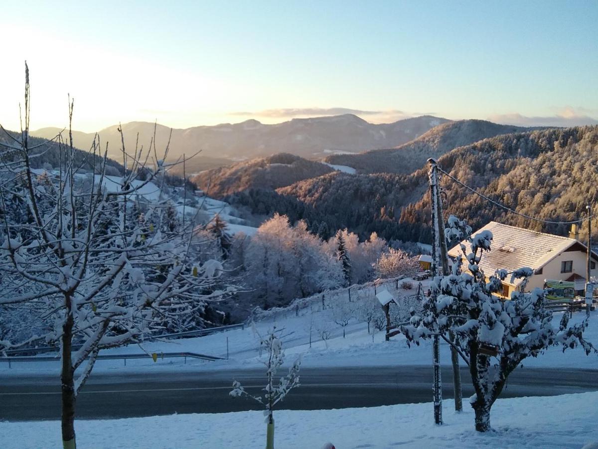 Apartment Jorsi With Mountain View Zrece Luaran gambar