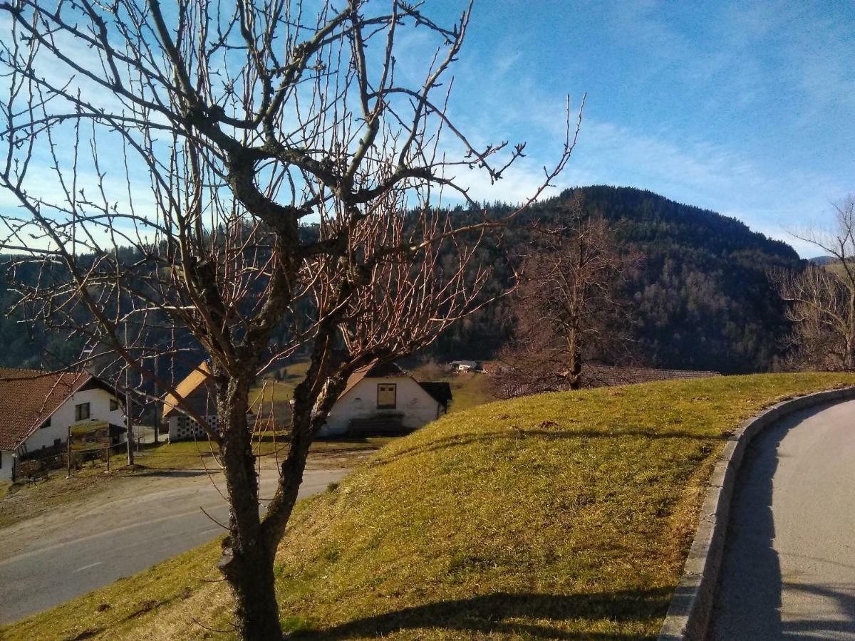 Apartment Jorsi With Mountain View Zrece Luaran gambar