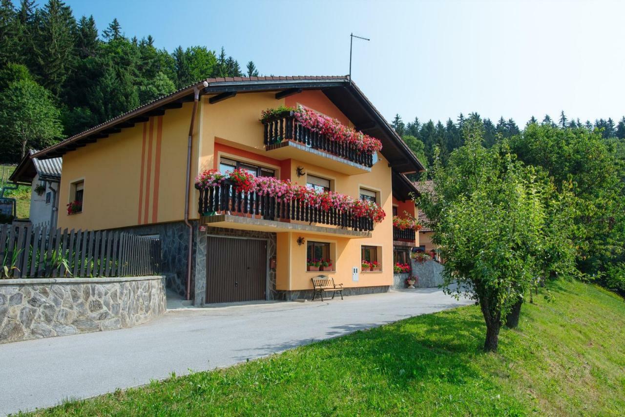 Apartment Jorsi With Mountain View Zrece Luaran gambar