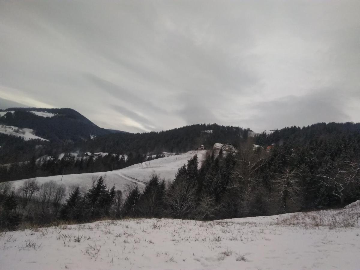 Apartment Jorsi With Mountain View Zrece Luaran gambar